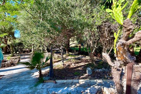 Landejendom i Alaro, Mallorca, Alaro - € 695.000 | Ref: 427919 - foto 13